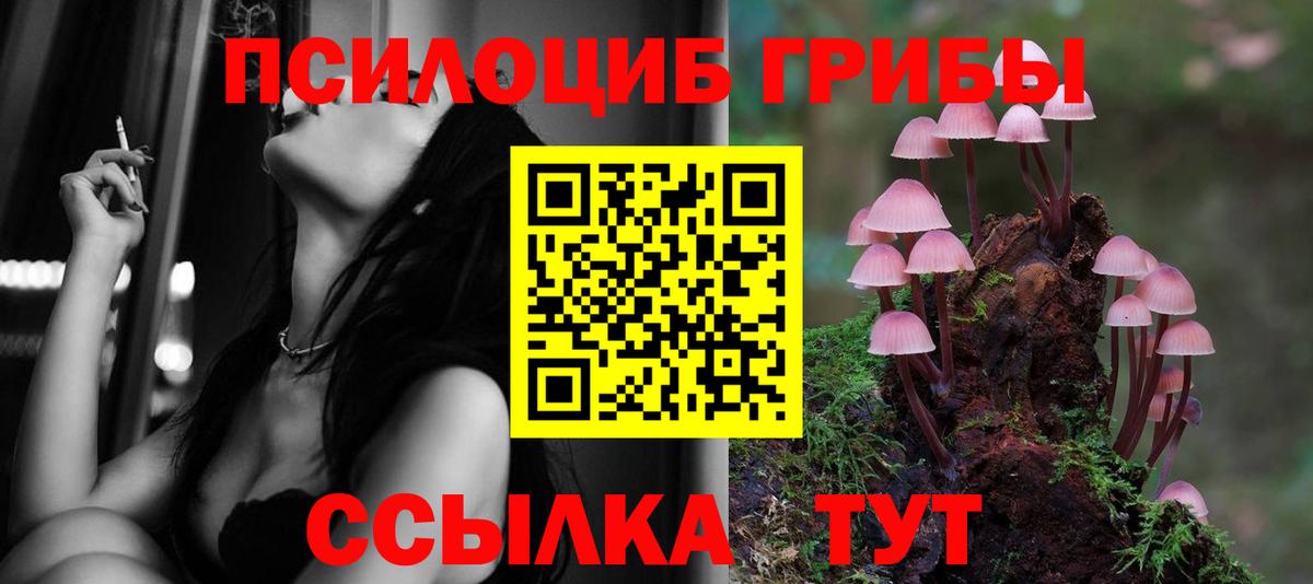Псилоцибиновые грибы мицелий Фролово